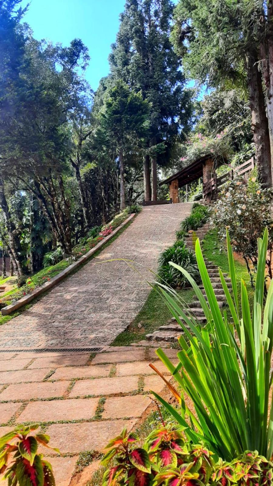 Hotel Refugio Do Selado à Monte Verde Extérieur photo