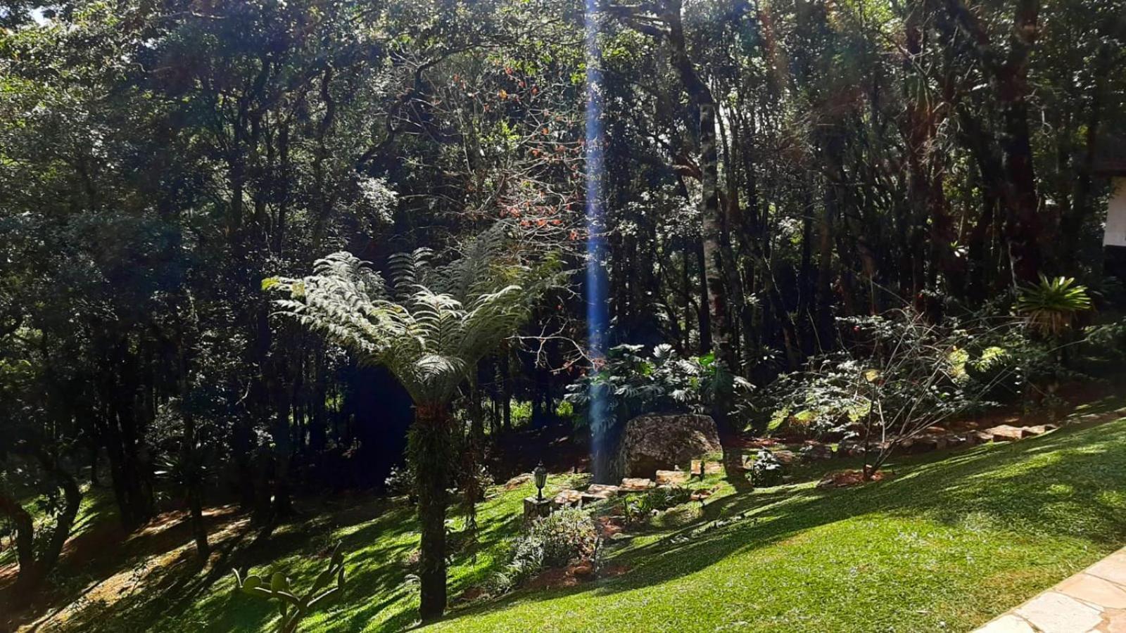 Hotel Refugio Do Selado à Monte Verde Extérieur photo